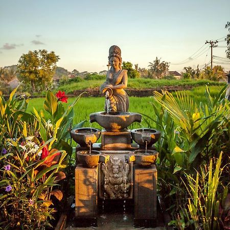 Kama Bisma Cottage Ubud Eksteriør bilde