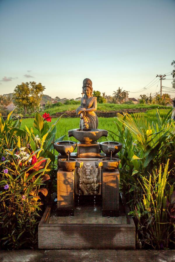 Kama Bisma Cottage Ubud Eksteriør bilde