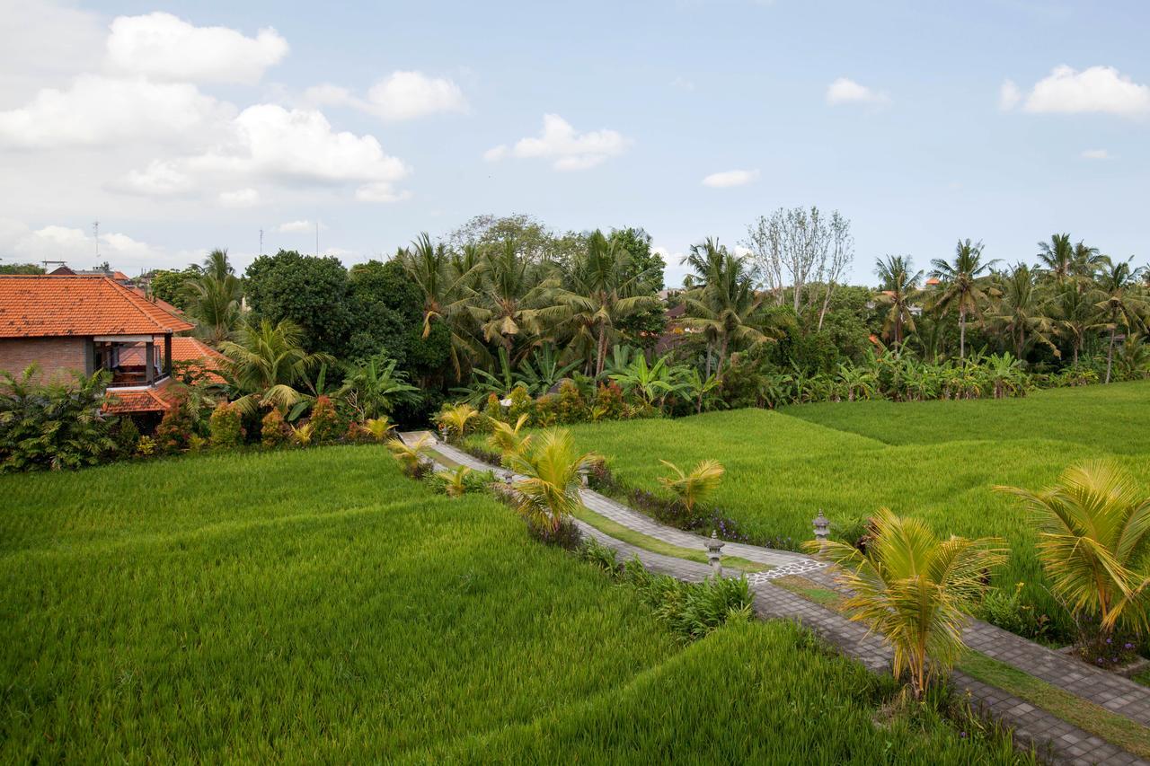 Kama Bisma Cottage Ubud Eksteriør bilde